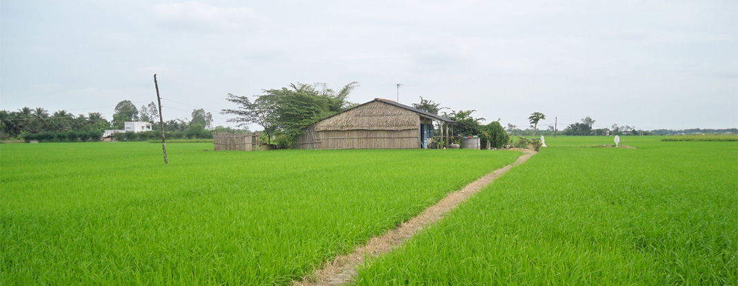 Vietnam Deltas, Beaches and Plateaus