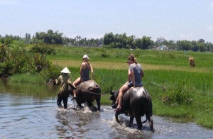 Hoi An Water Buffalo Cart Experience