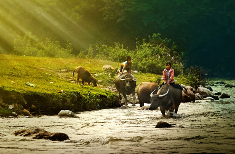 Pu Luong Nature Reserve Discovery