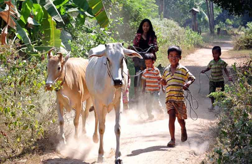 Best of Cambodia and North Vietnam