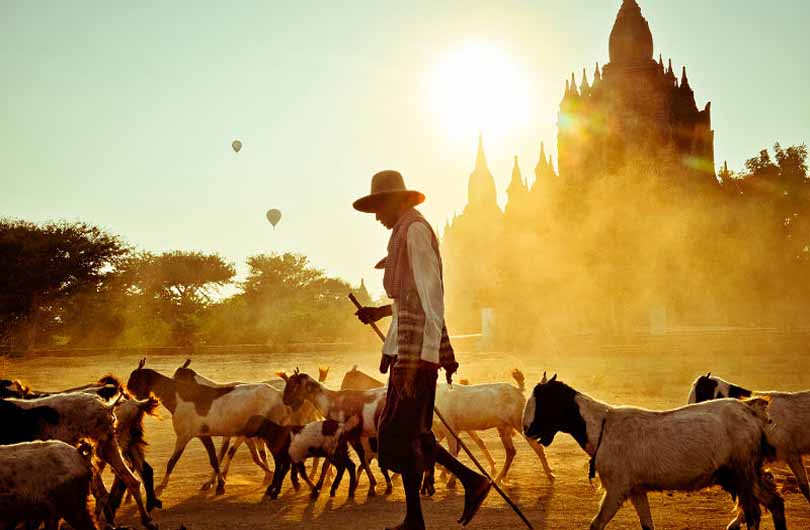 Yangon and Bagan Tour