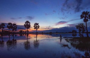 Southern Vietnam in Focus