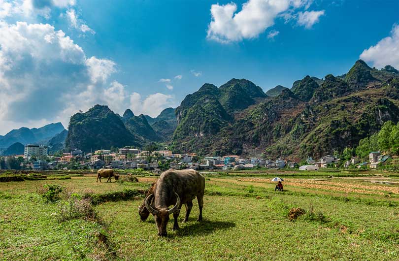 Ha Giang Loop Comfort Car Ride